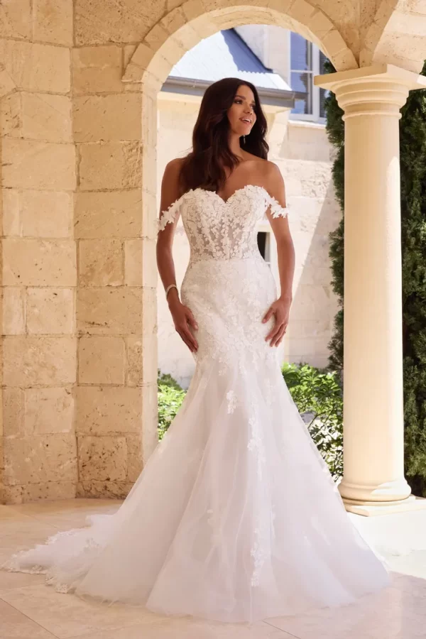Sophia tolli: Y3123