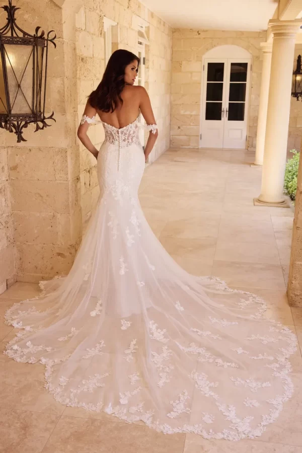 Sophia tolli: Y3123 - Image 2
