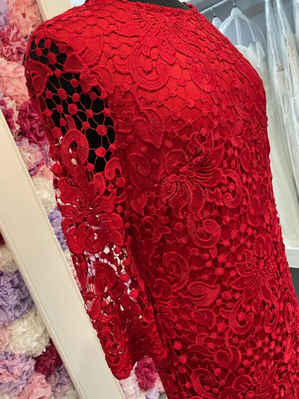 Papaya: Crimson - Image 2